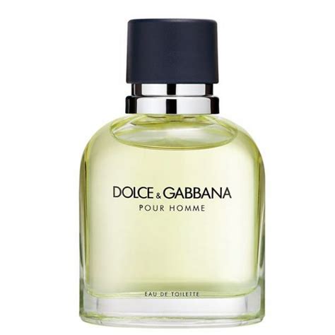 precio de perfume dolce gabbana pour homme|dolce and gabbana perfume website.